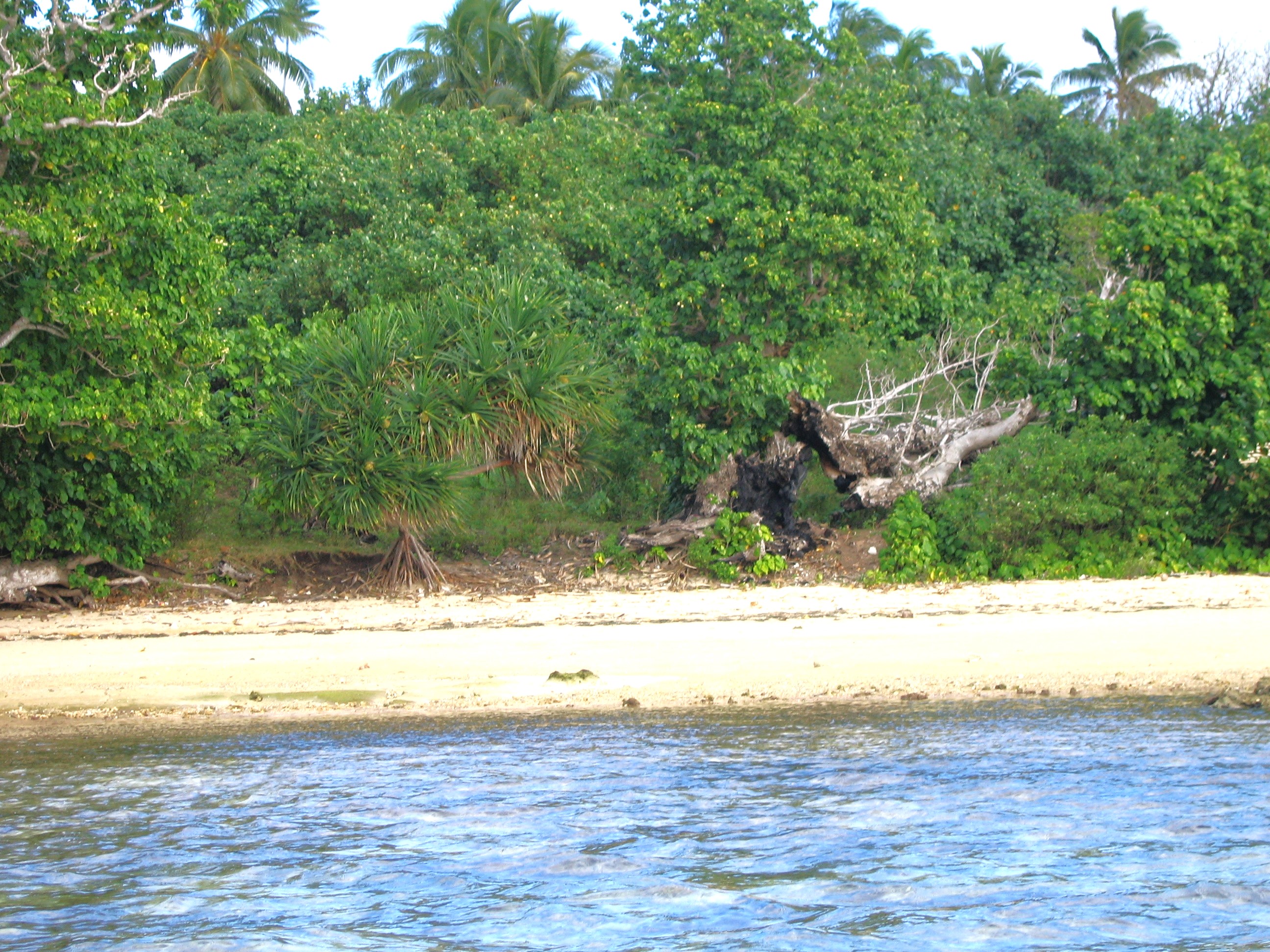 Kapa Island beach, Tonga SouthPacificRealEstate